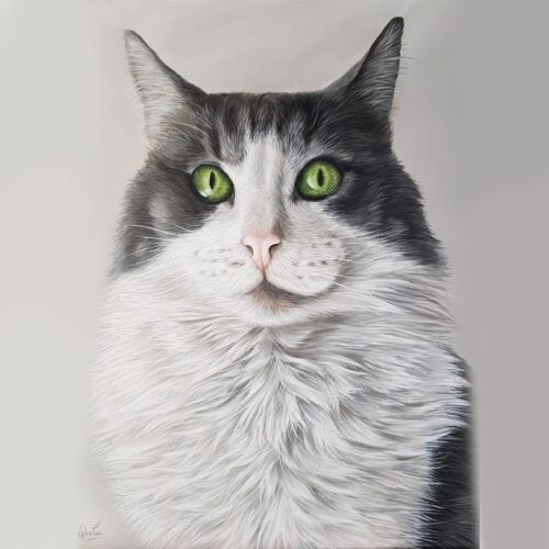 Fernando