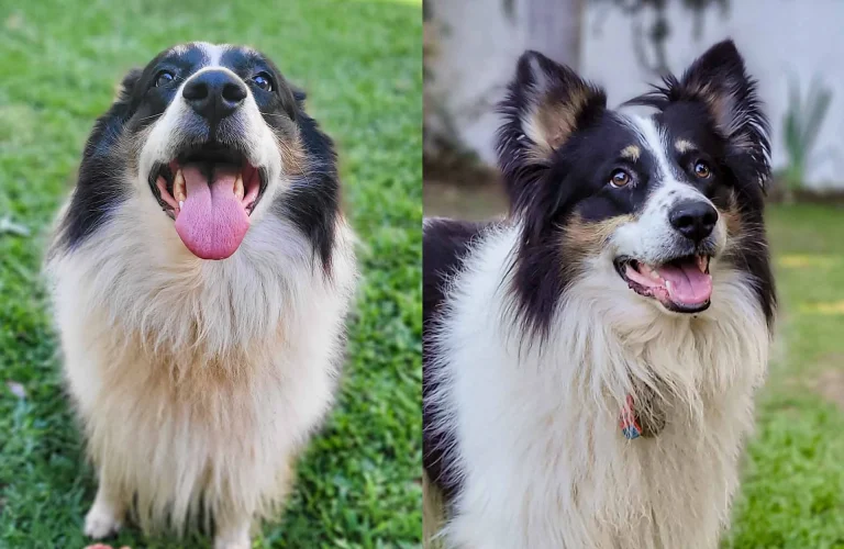 Como elegir la foto ideal - Ángulo